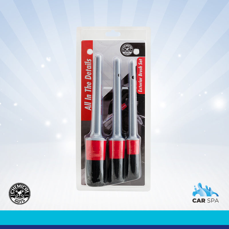 Chemical Guys All In The Details Exterior Detailing Brushes